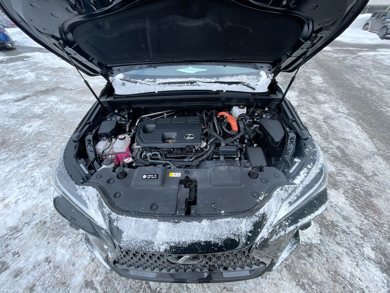 2022 Lexus NX in Laval, Quebec