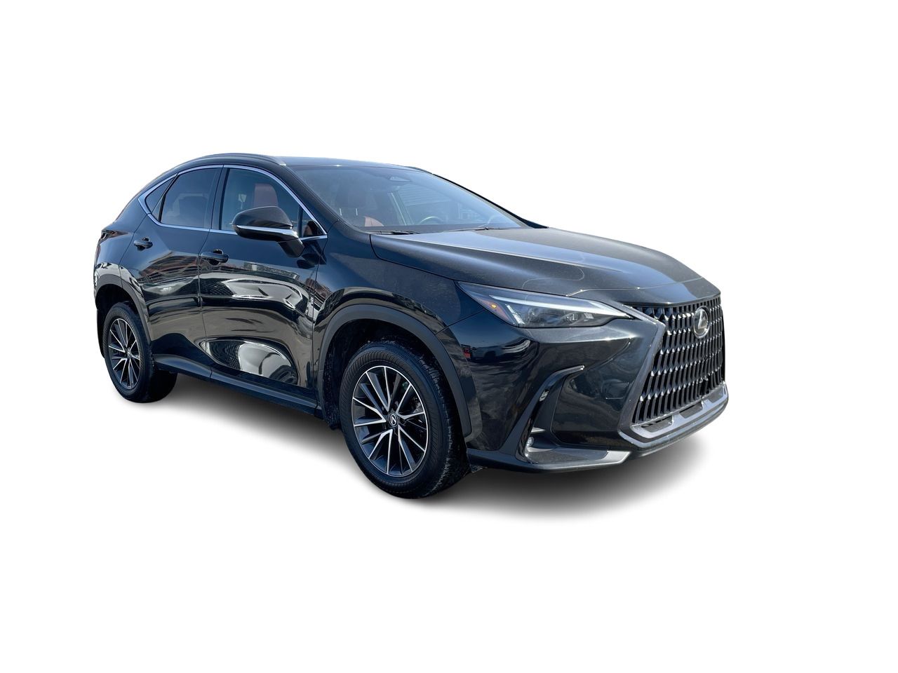 2022 Lexus NX