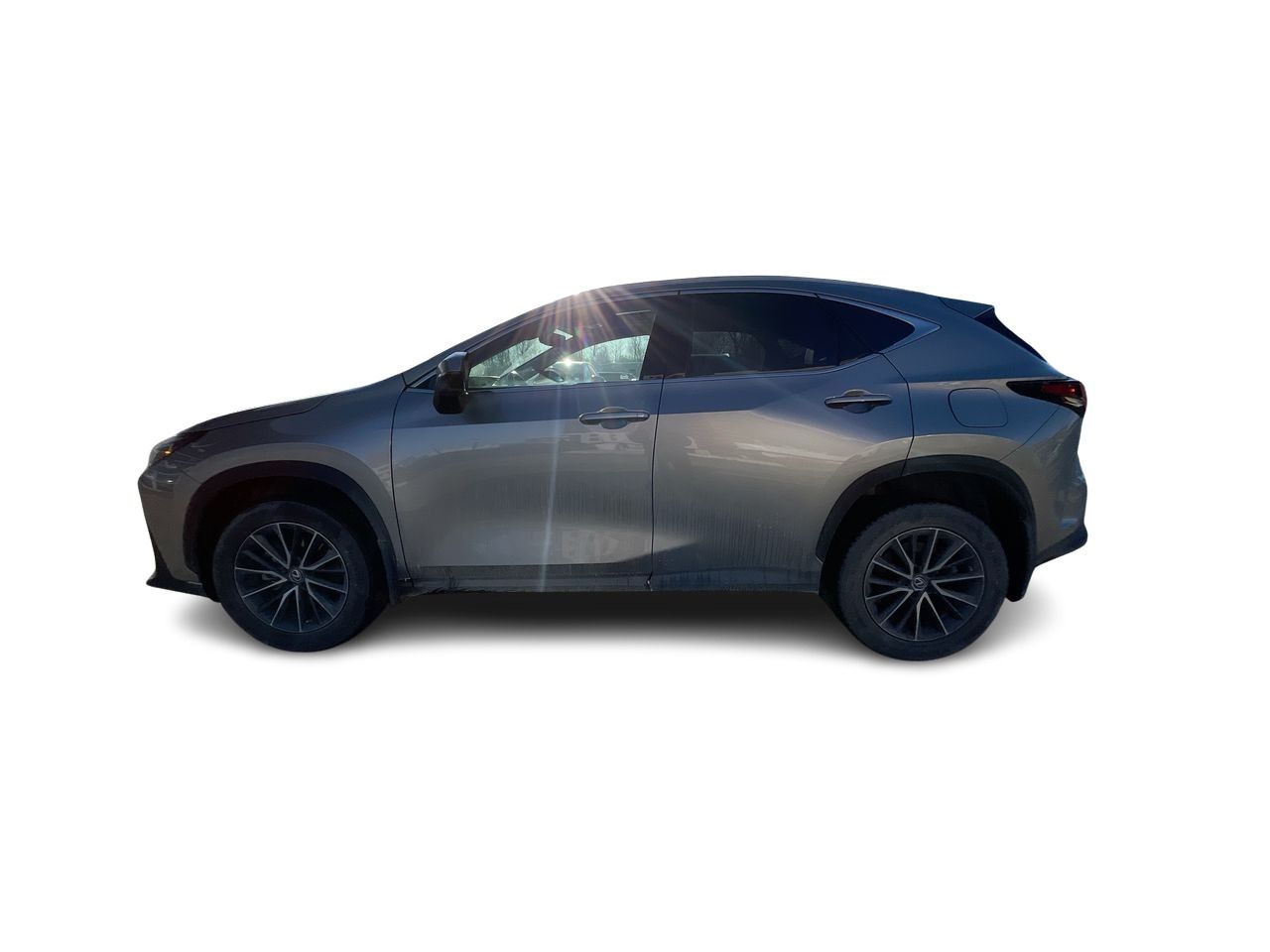 Lexus NX  2022