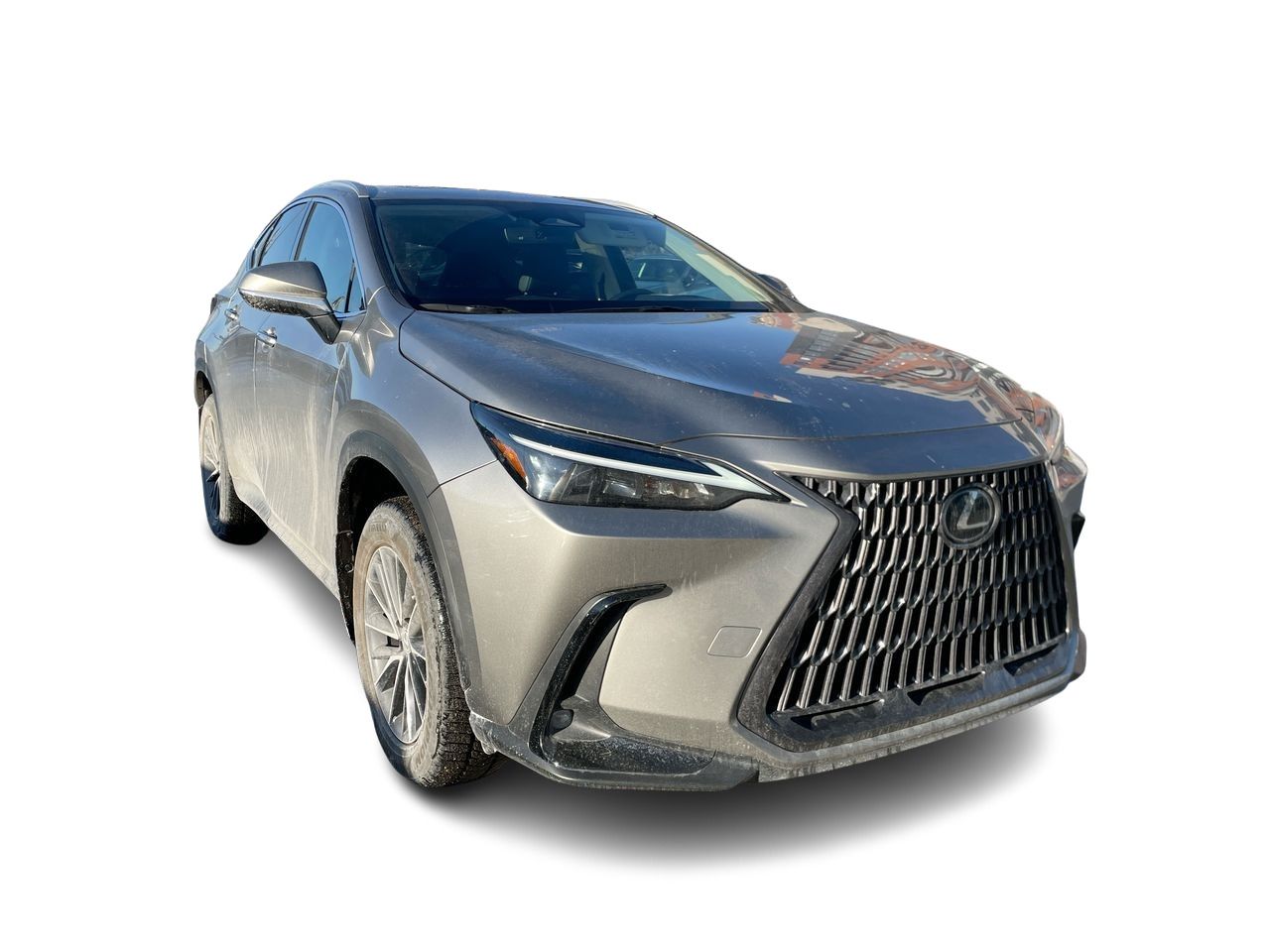 Lexus NX  2022