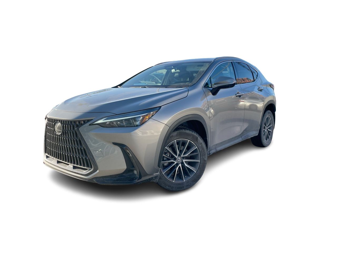 Lexus NX  2022
