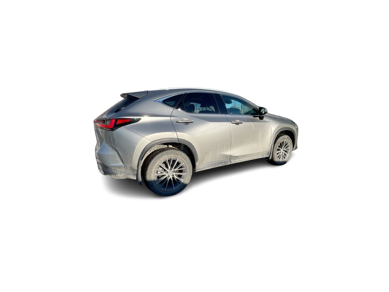 Lexus NX  2022
