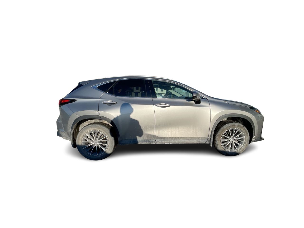 Lexus NX  2022