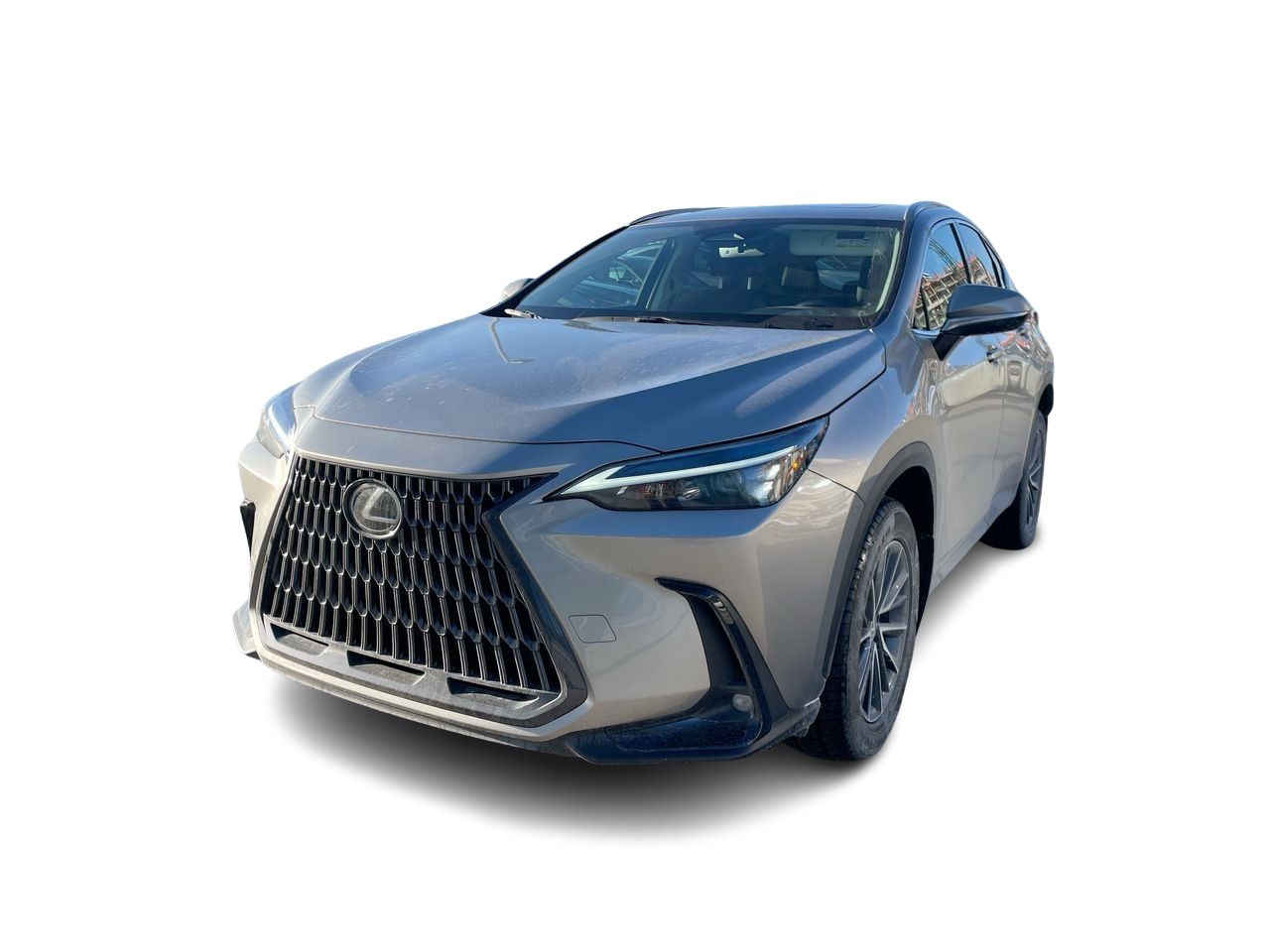 Lexus NX  2022