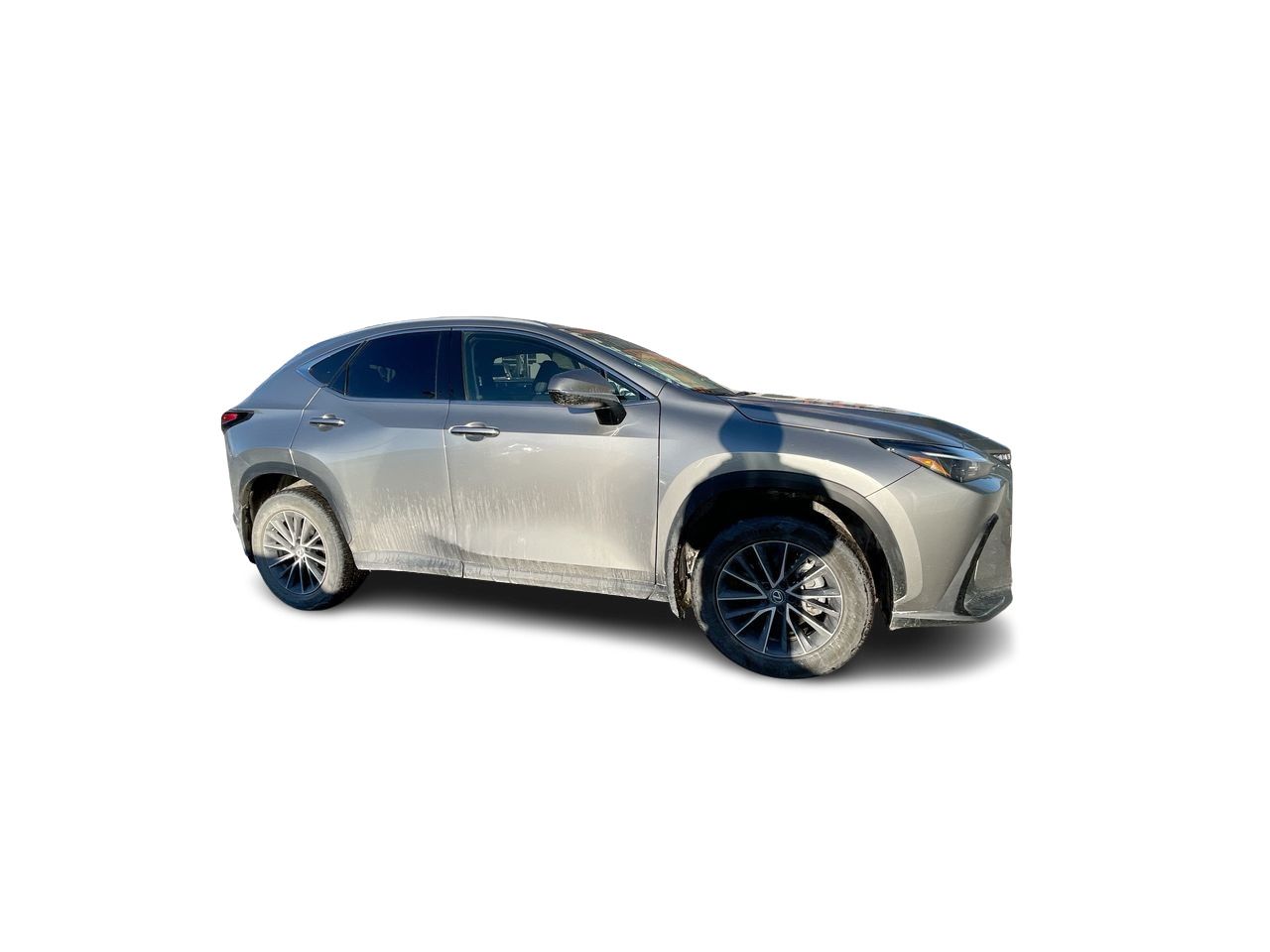 Lexus NX  2022