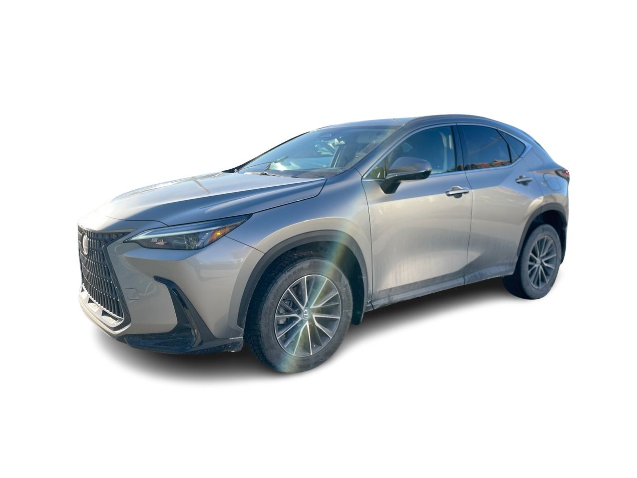 Lexus NX  2022