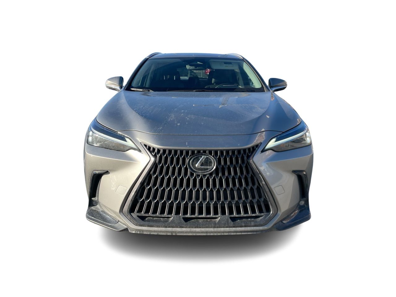 Lexus NX  2022