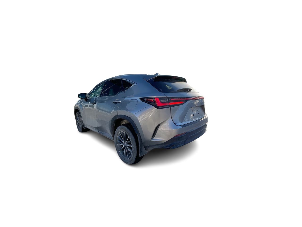 Lexus NX  2022