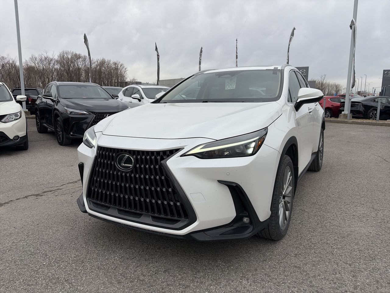 2022 Lexus NX