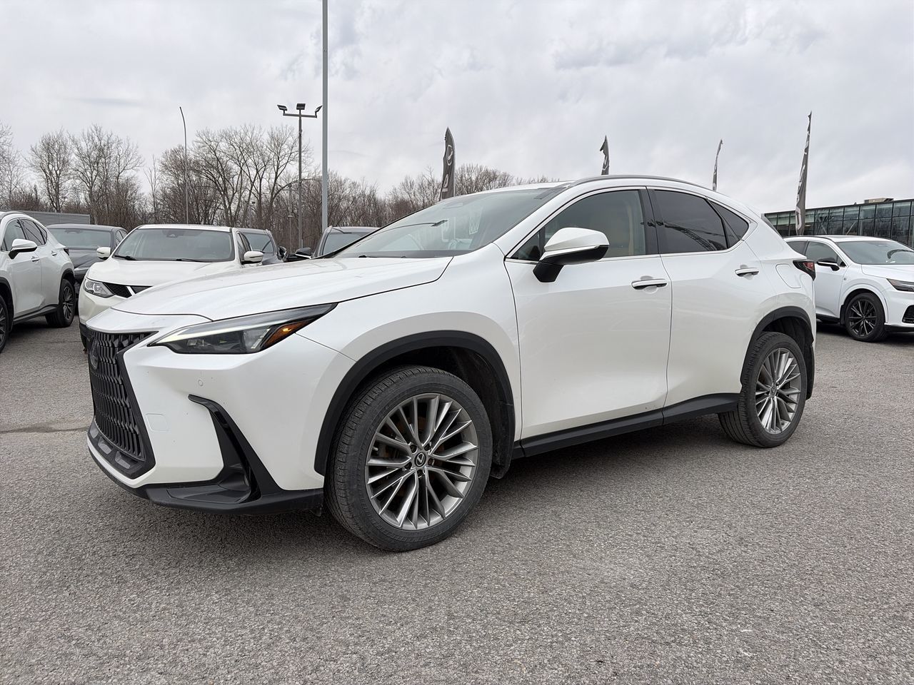 2022 Lexus NX