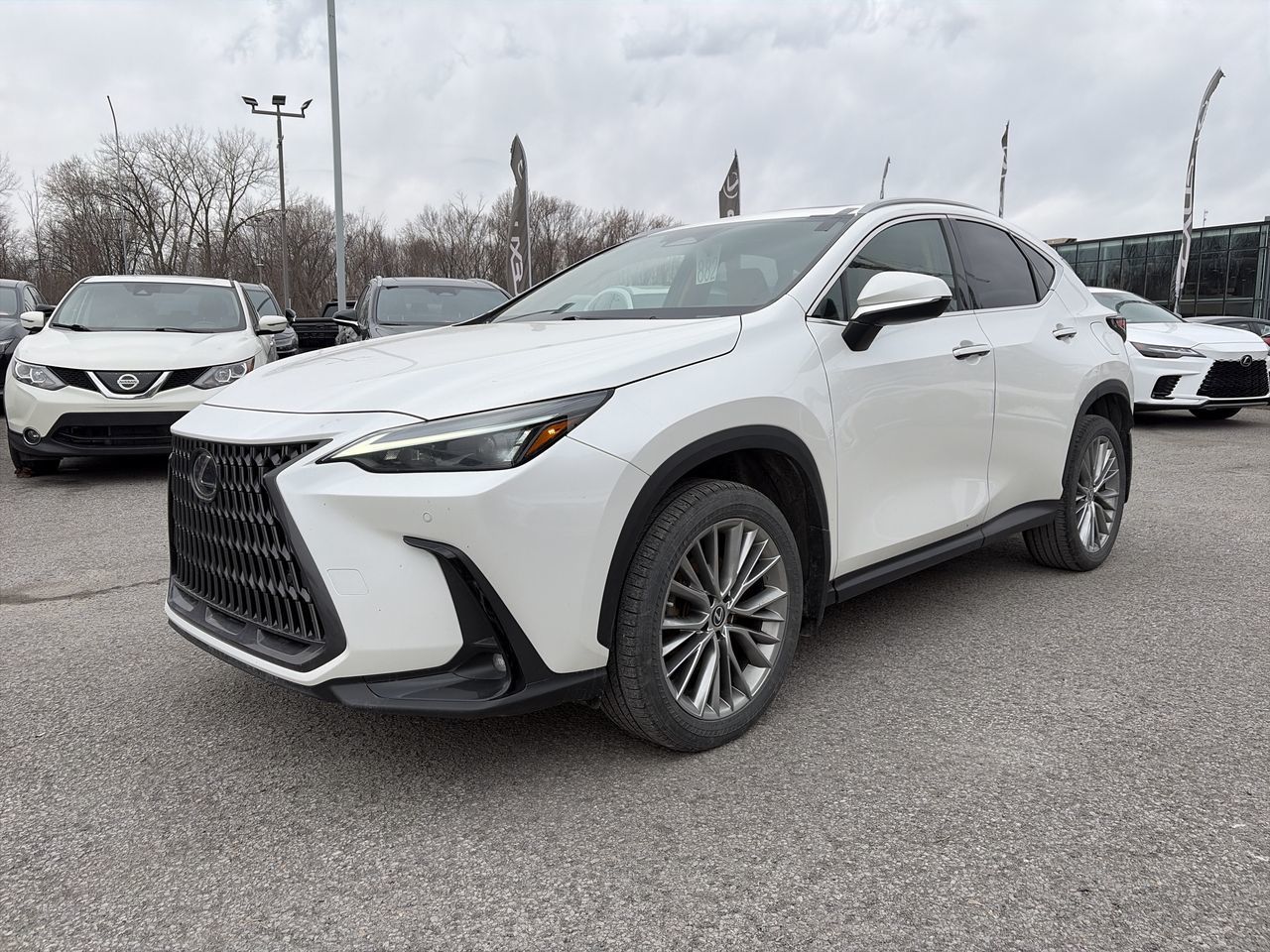 2022 Lexus NX