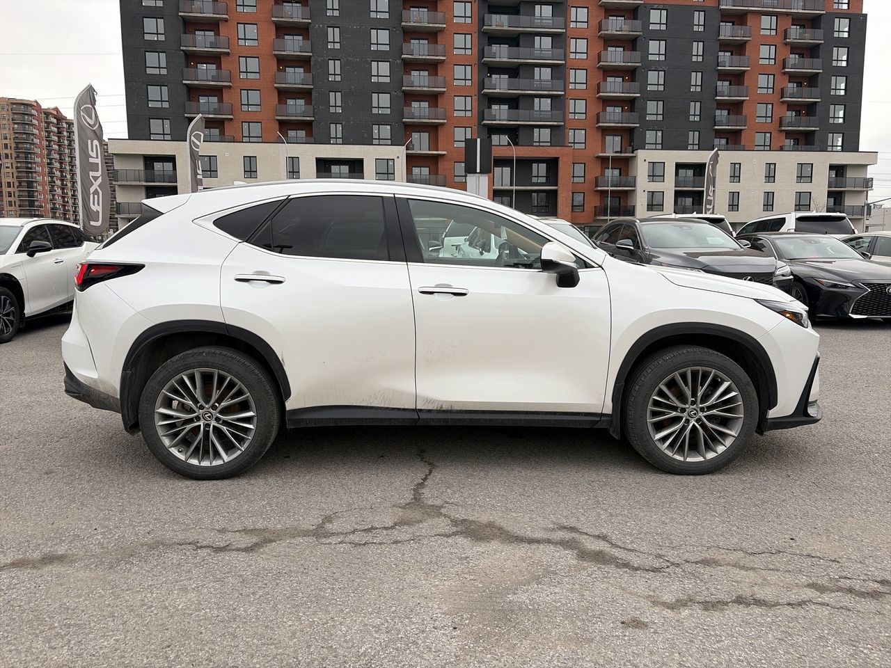 2022 Lexus NX