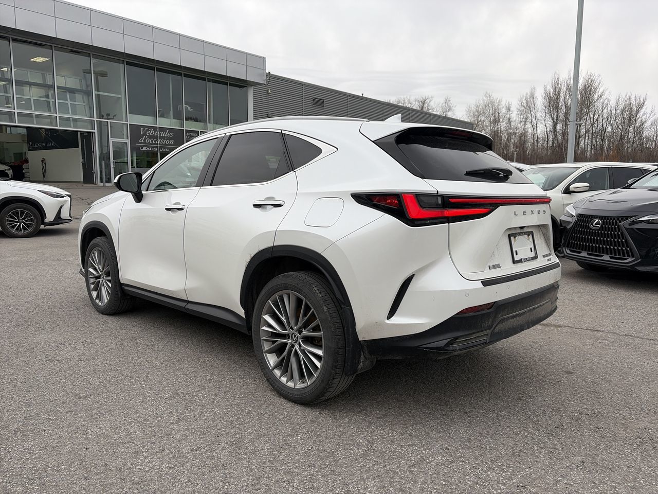 2022 Lexus NX