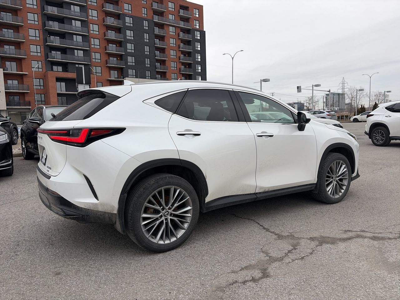 2022 Lexus NX