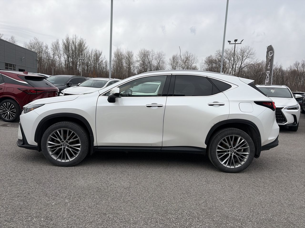 2022 Lexus NX