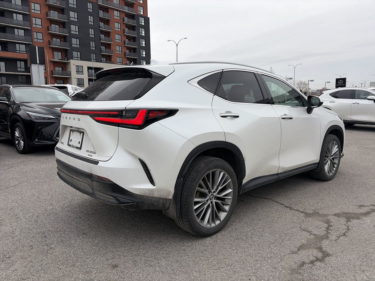 2022 Lexus NX