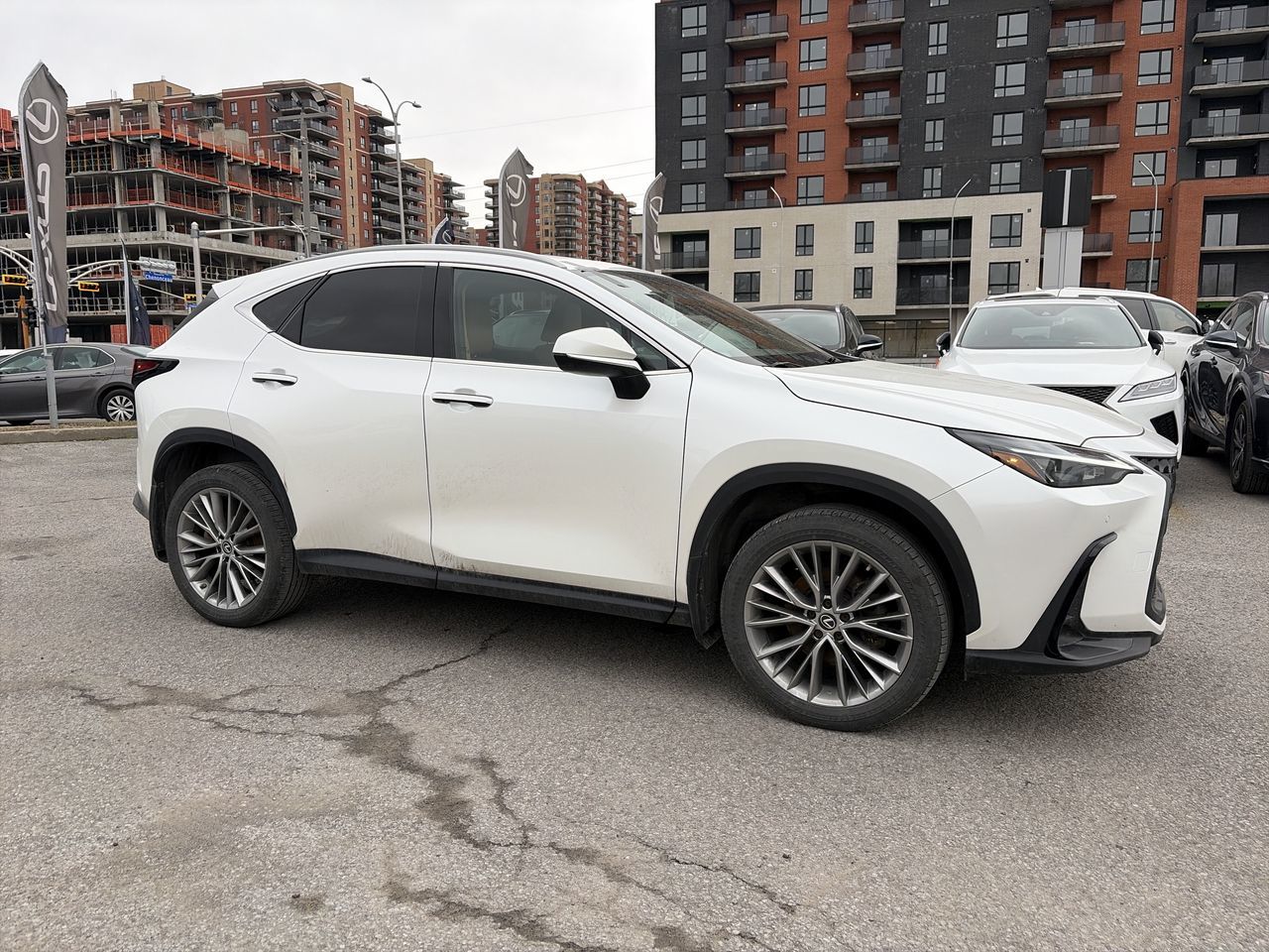 2022 Lexus NX