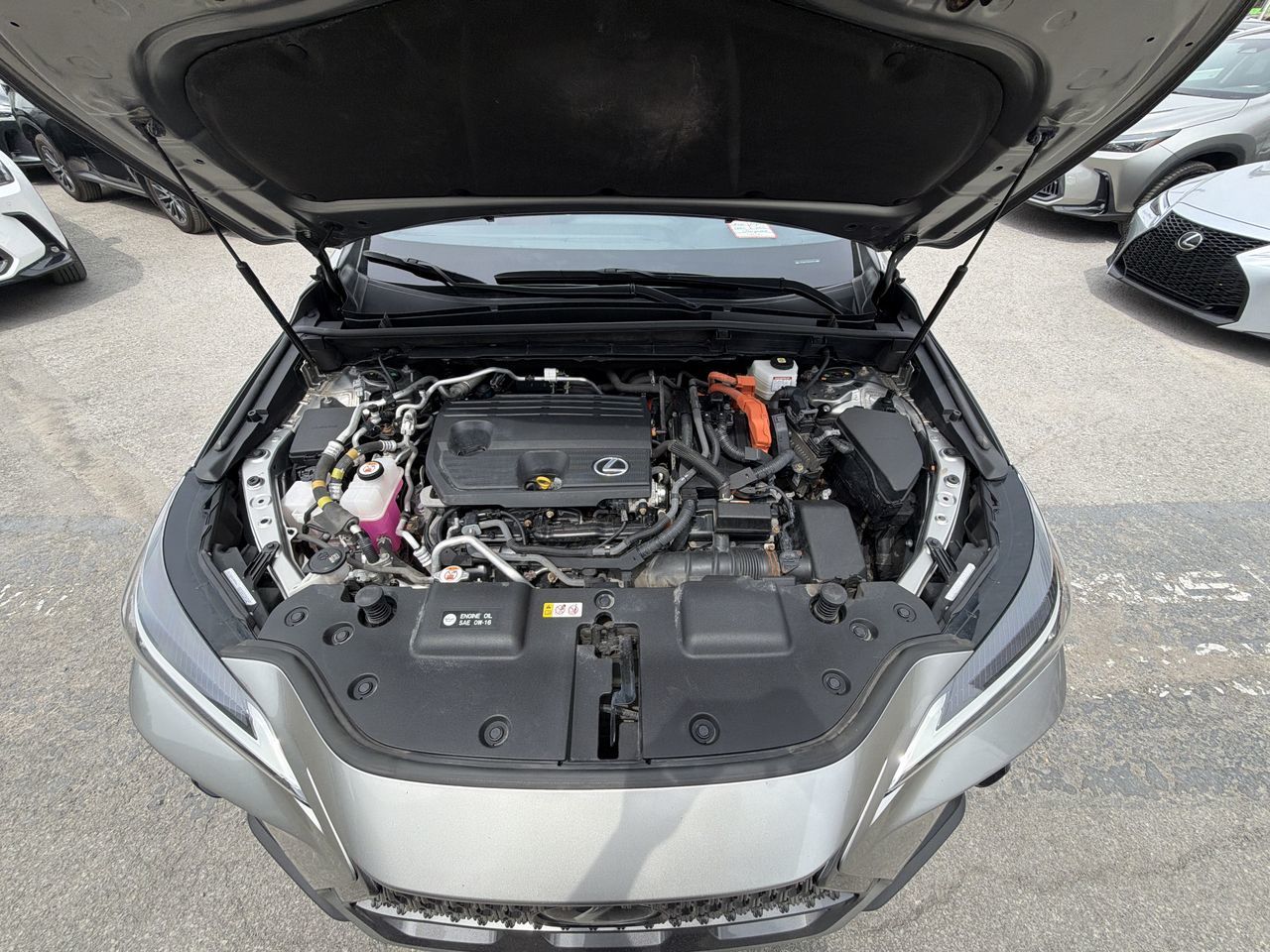 Lexus NX  2022