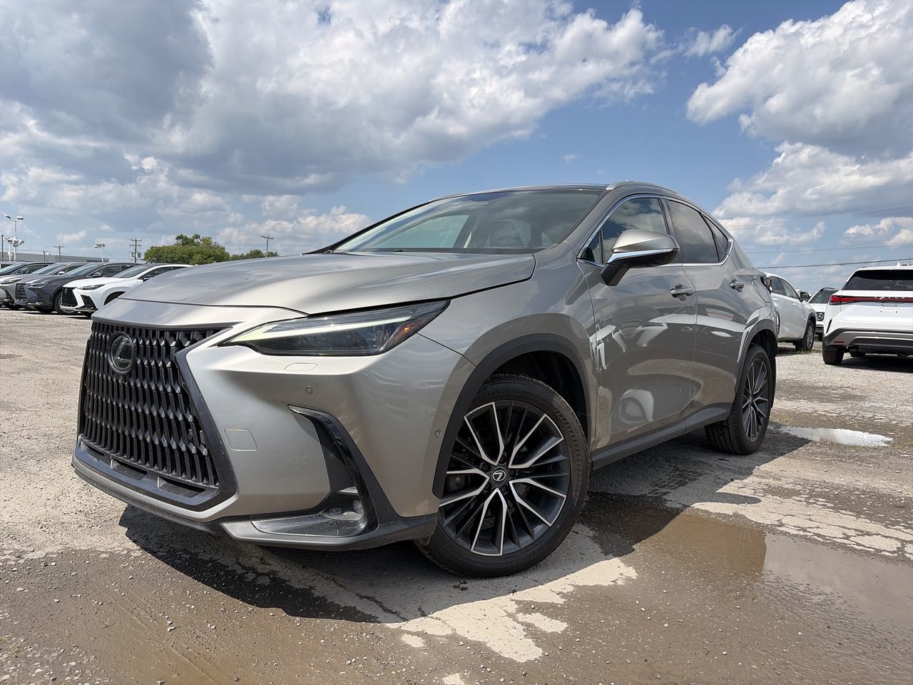 2022 Lexus NX