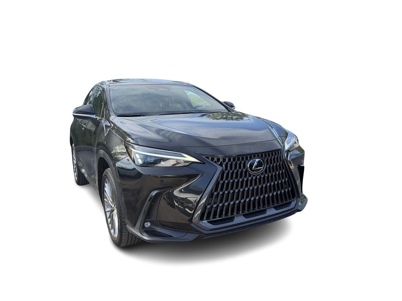 Lexus NX  2022