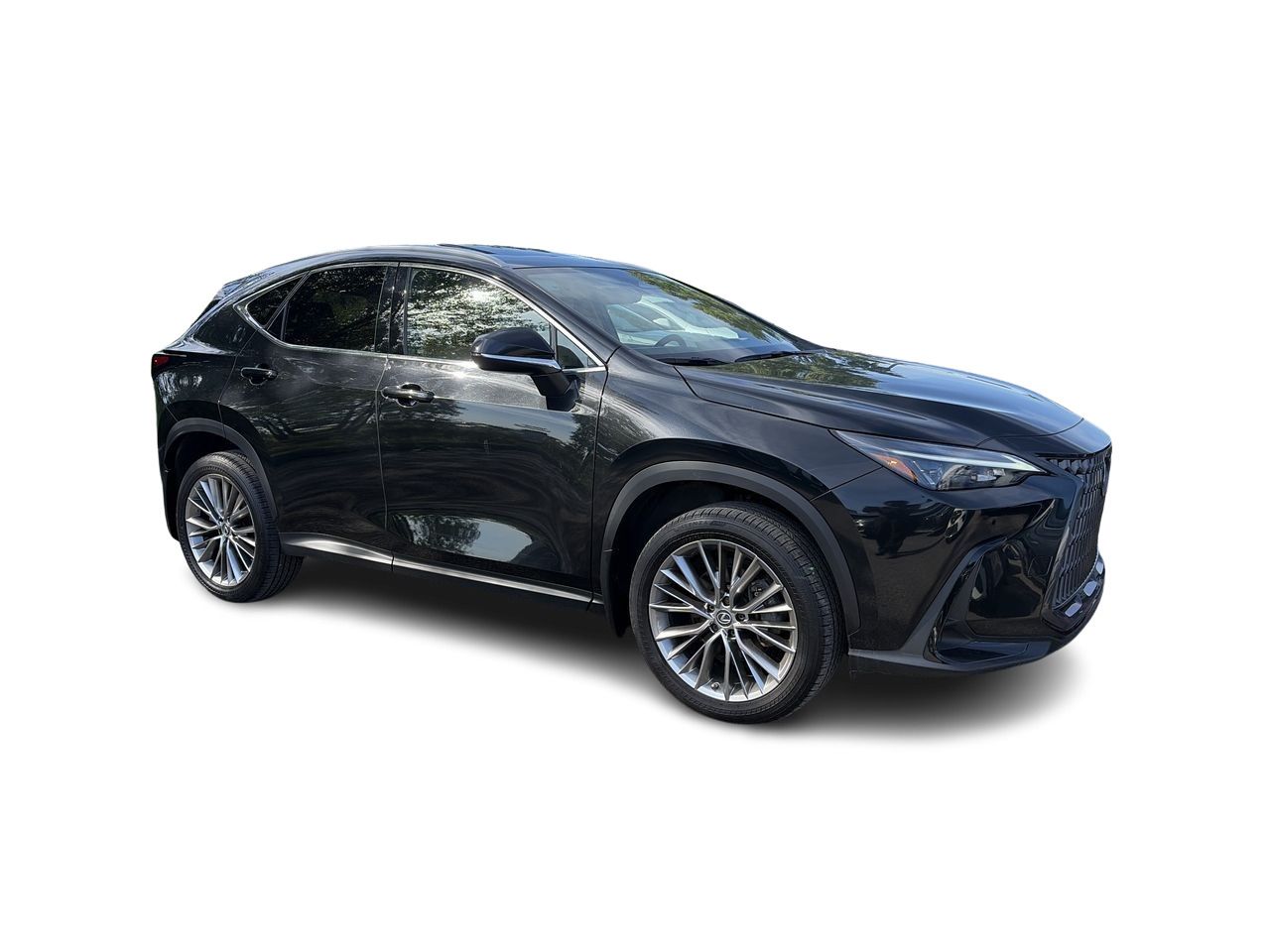 Lexus NX  2022