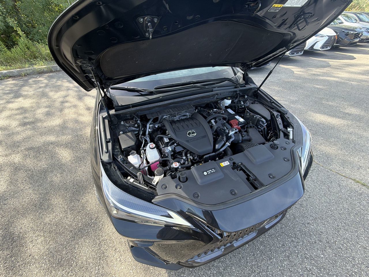 Lexus NX  2022