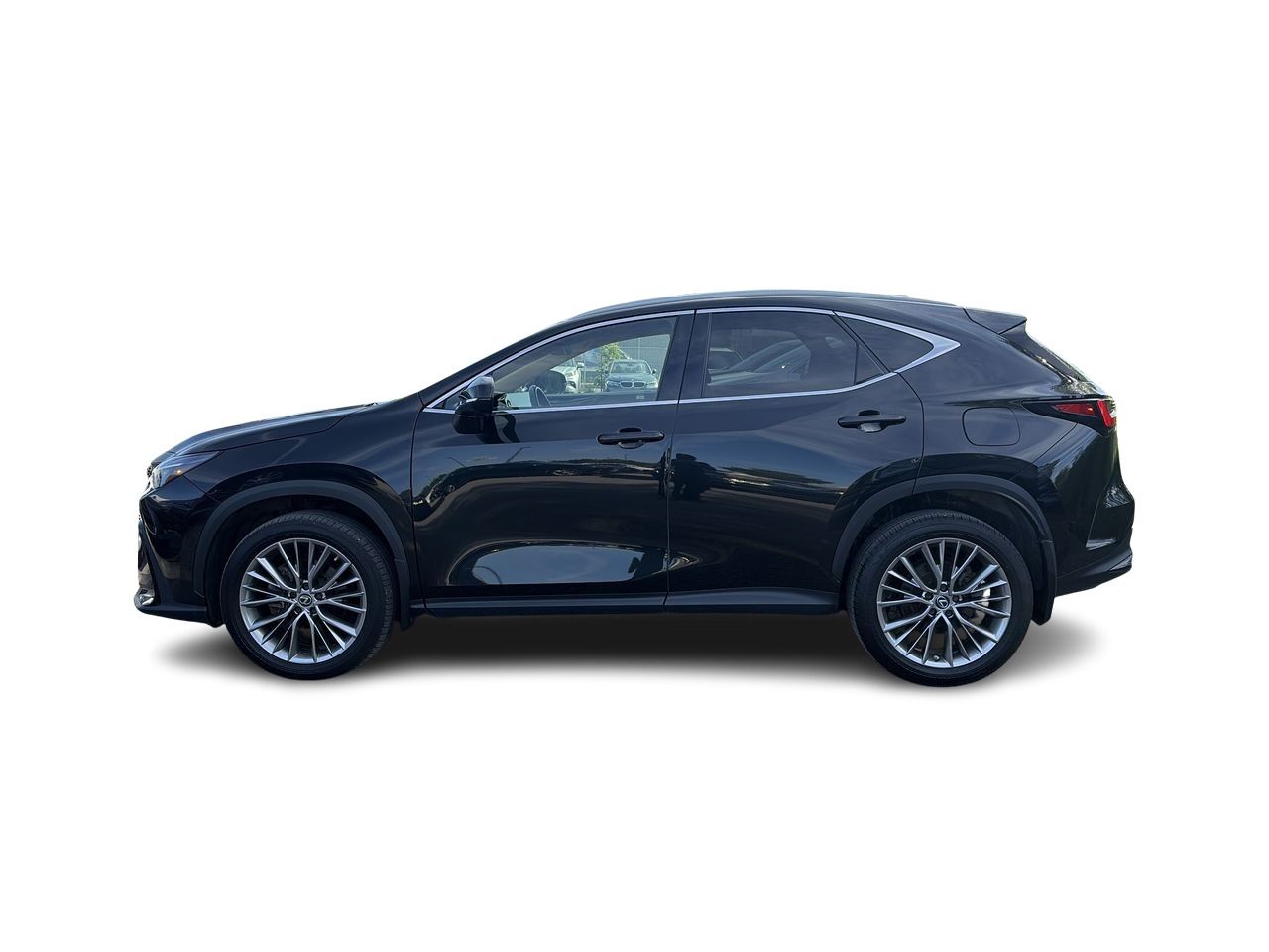 Lexus NX  2022