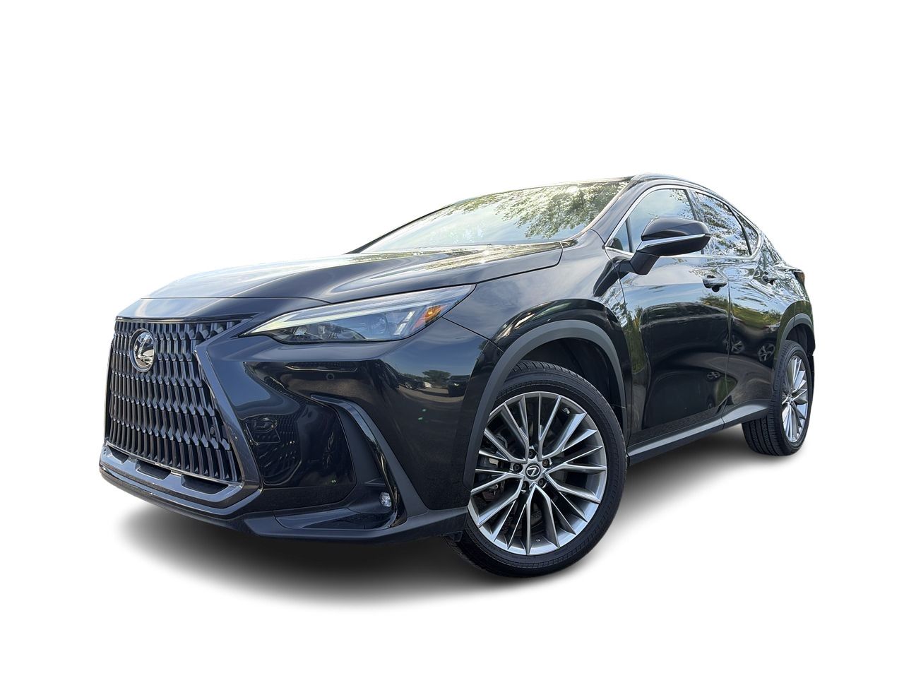 Lexus NX  2022