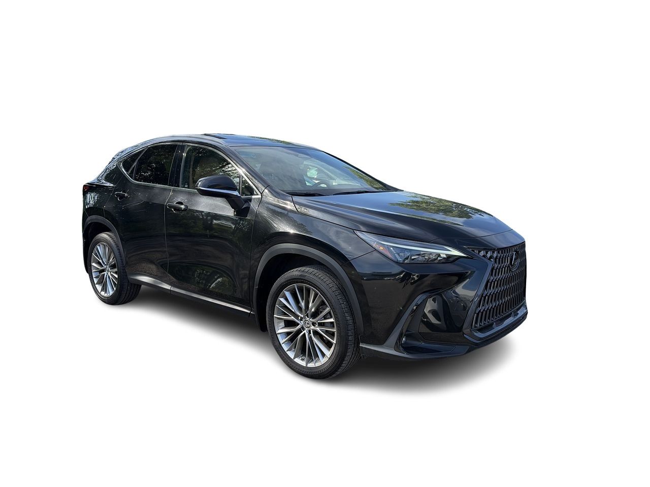 Lexus NX  2022