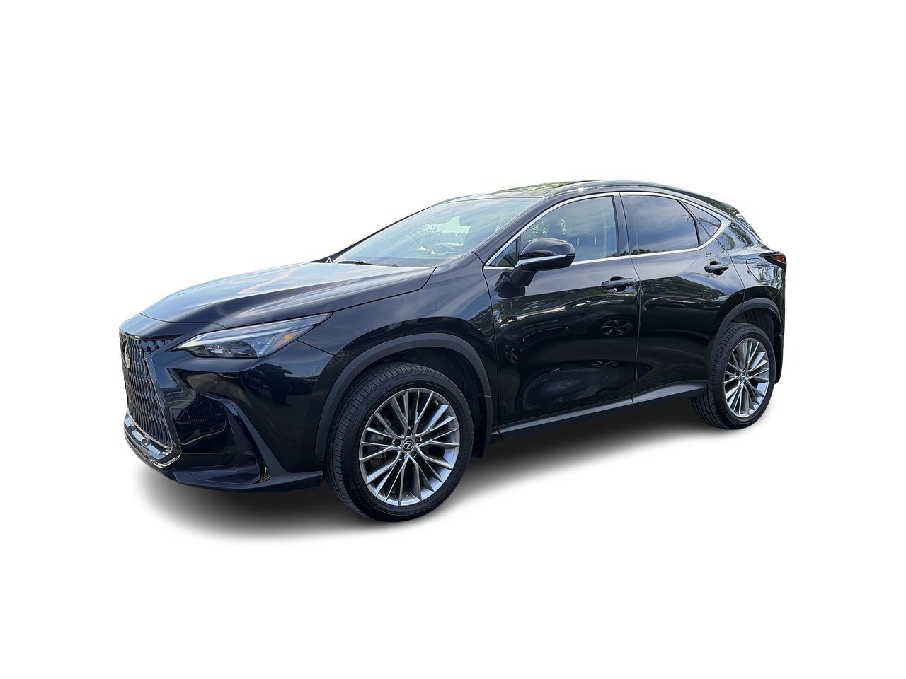 Lexus NX  2022