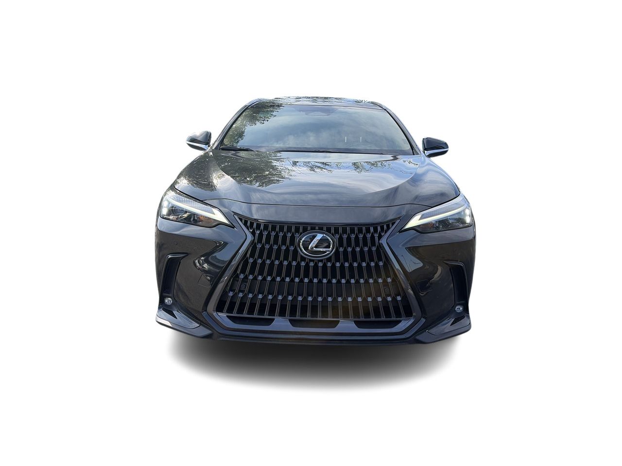 Lexus NX  2022