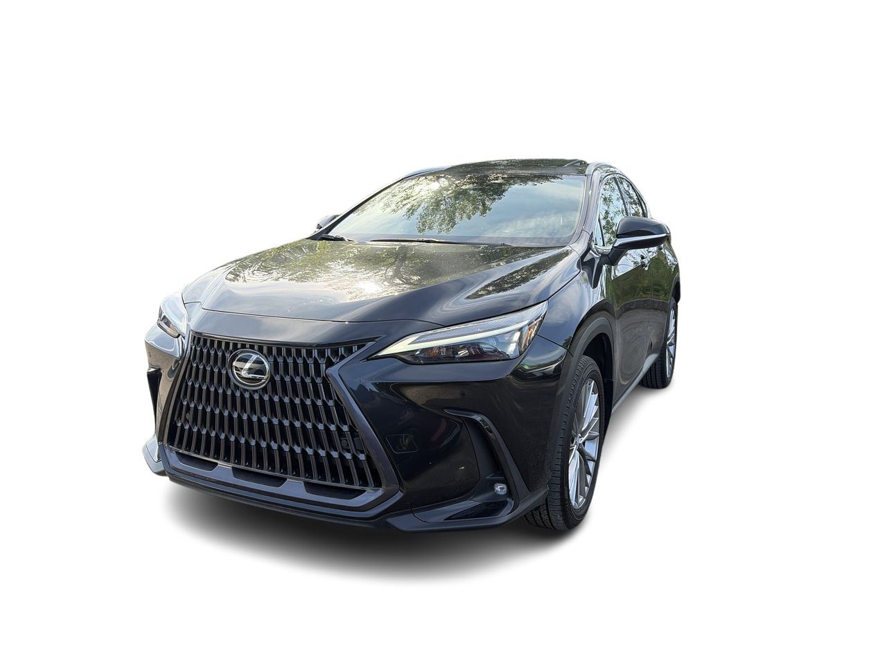 Lexus NX  2022