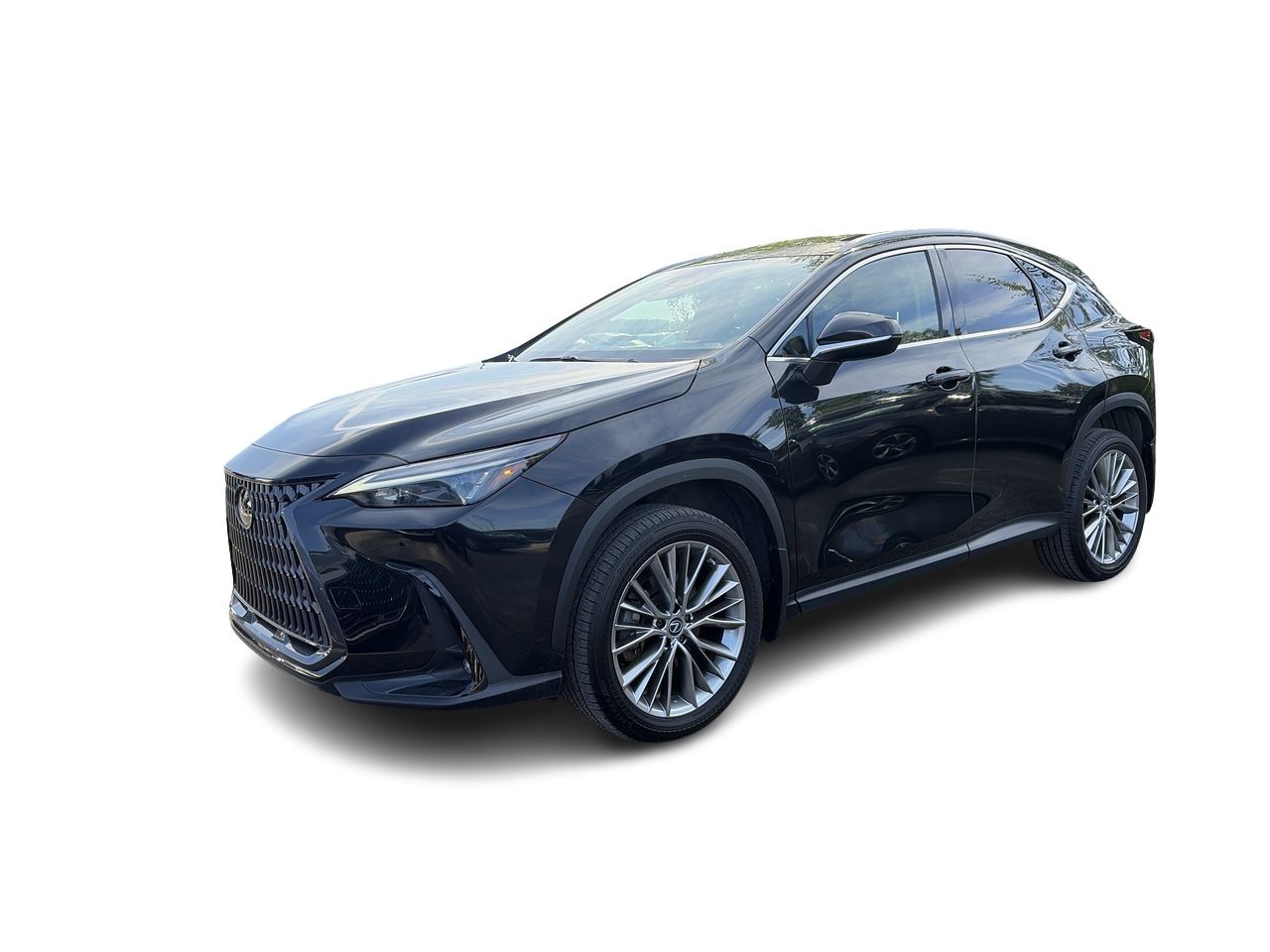 Lexus NX  2022