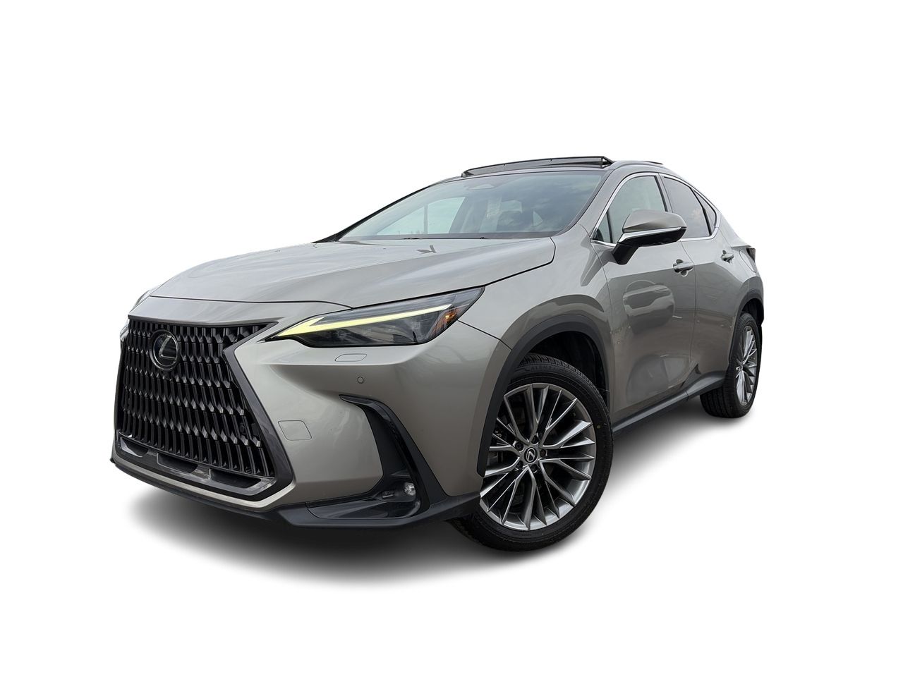 2022 Lexus NX