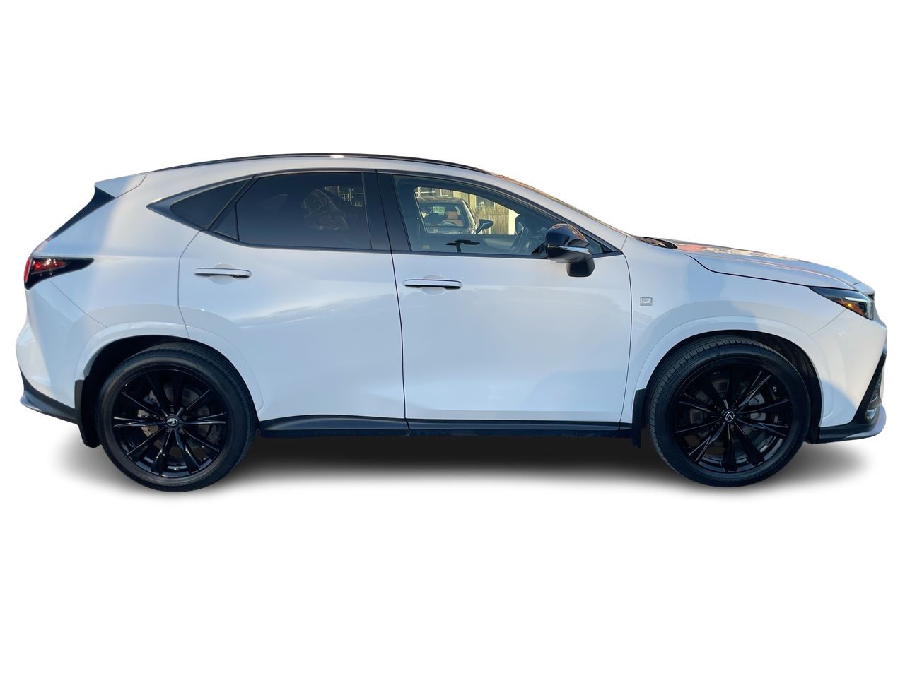 Lexus NX  2023