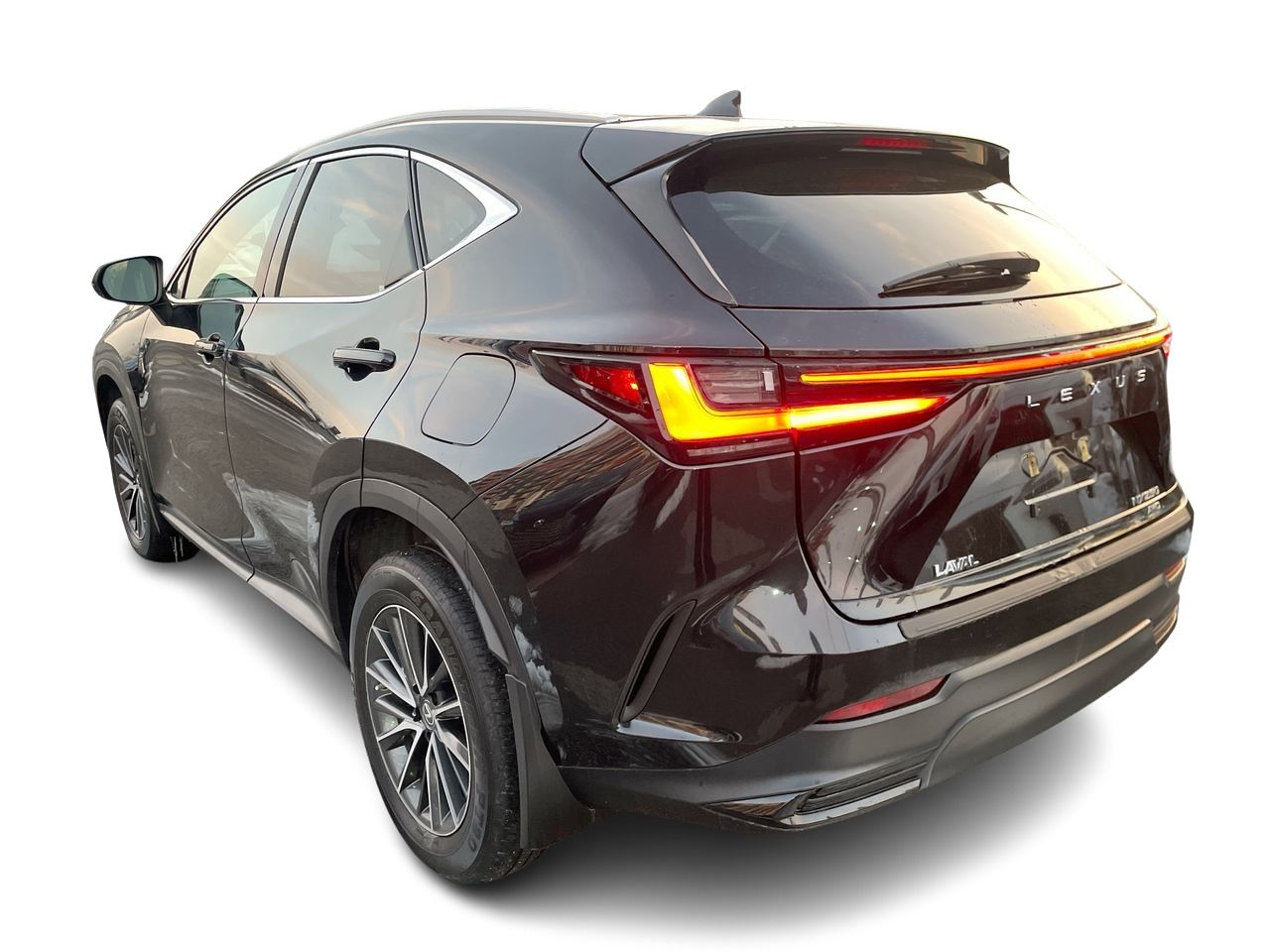 2023 Lexus NX