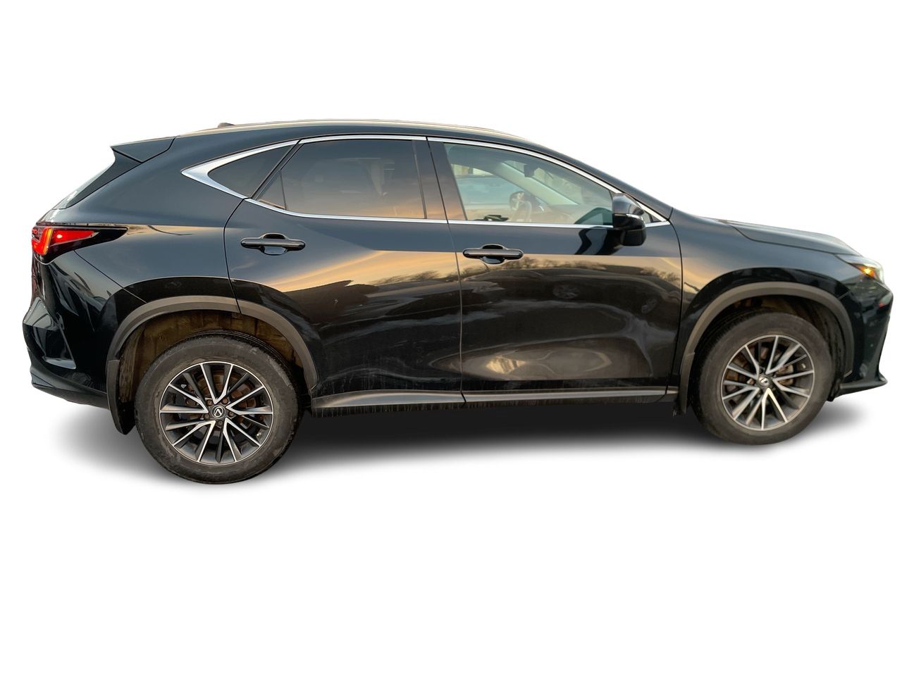 2023 Lexus NX