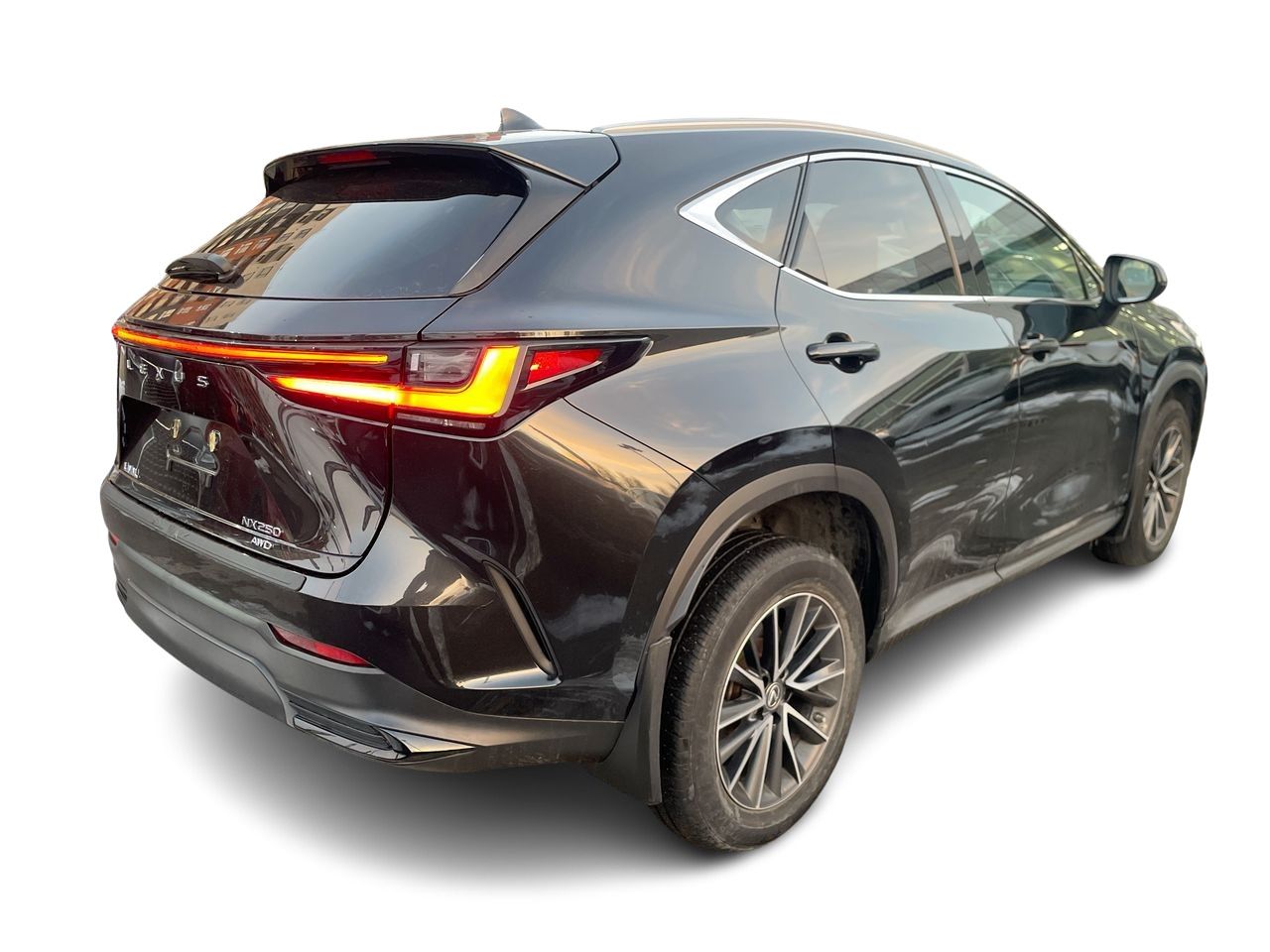 2023 Lexus NX