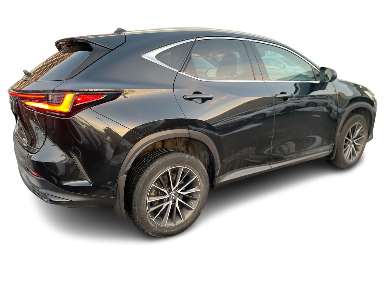 2023 Lexus NX