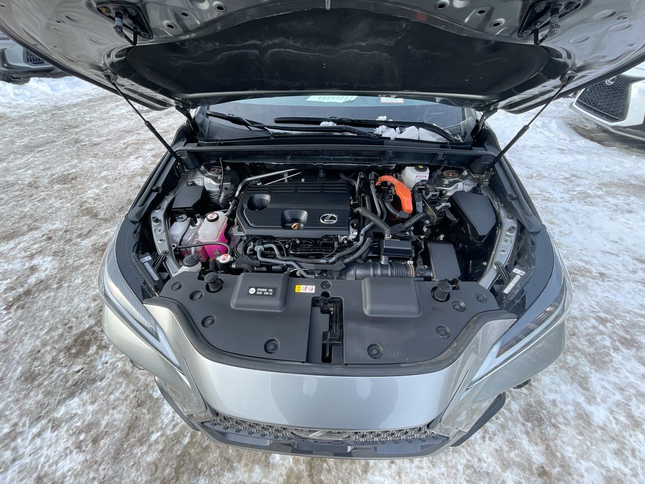 2023 Lexus NX in Laval, Quebec