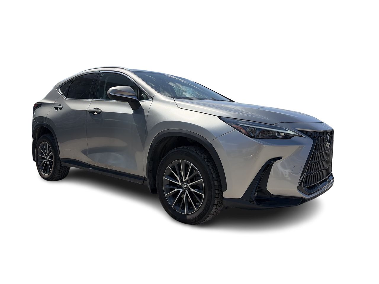 Lexus NX  2023