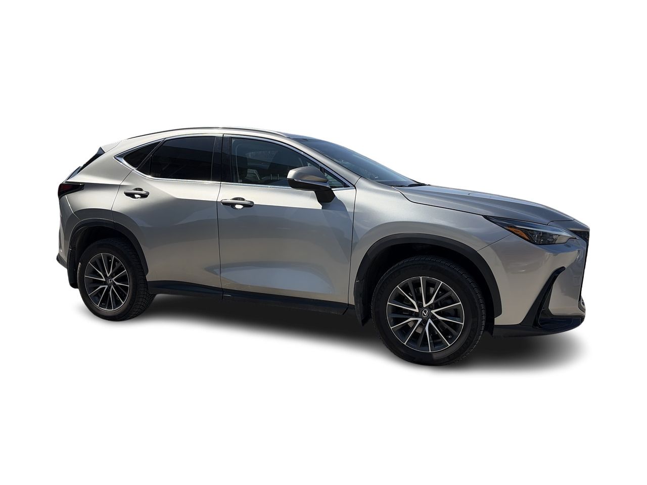 Lexus NX  2023