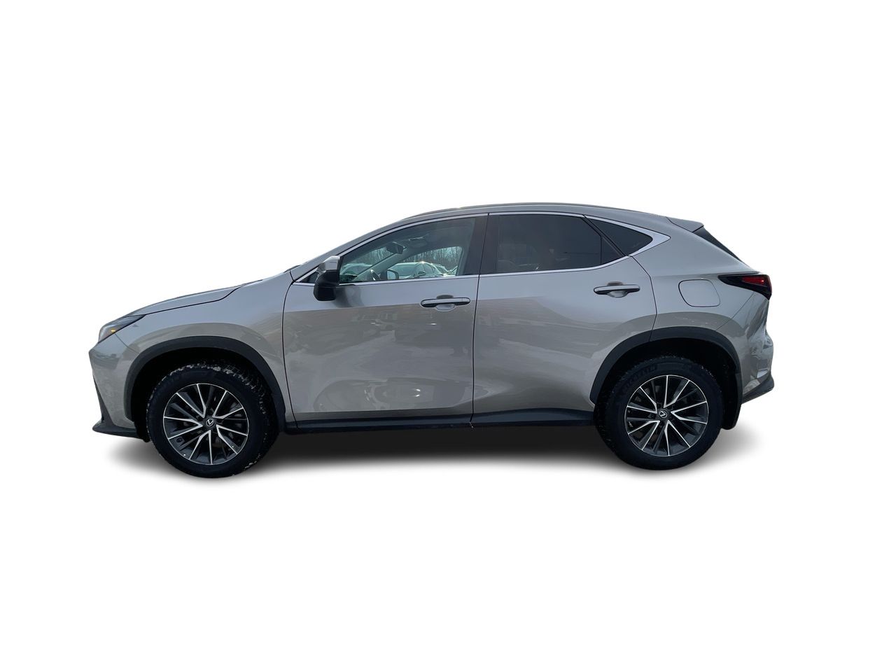 Lexus NX  2023