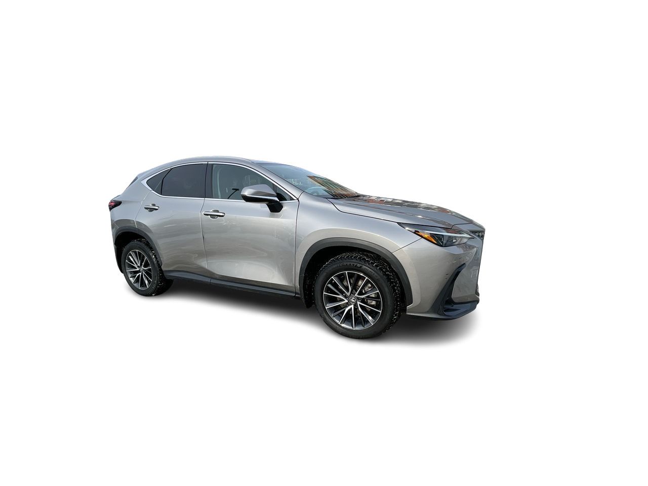 Lexus NX  2023