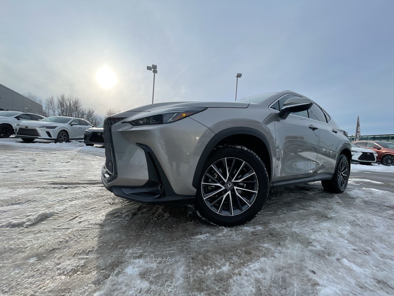 Lexus NX  2023