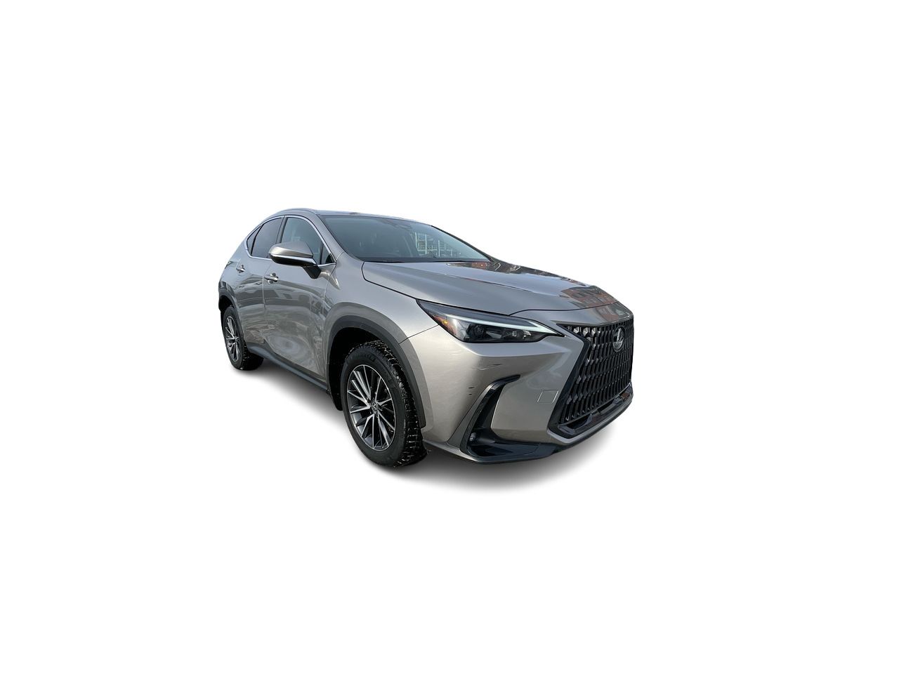Lexus NX  2023