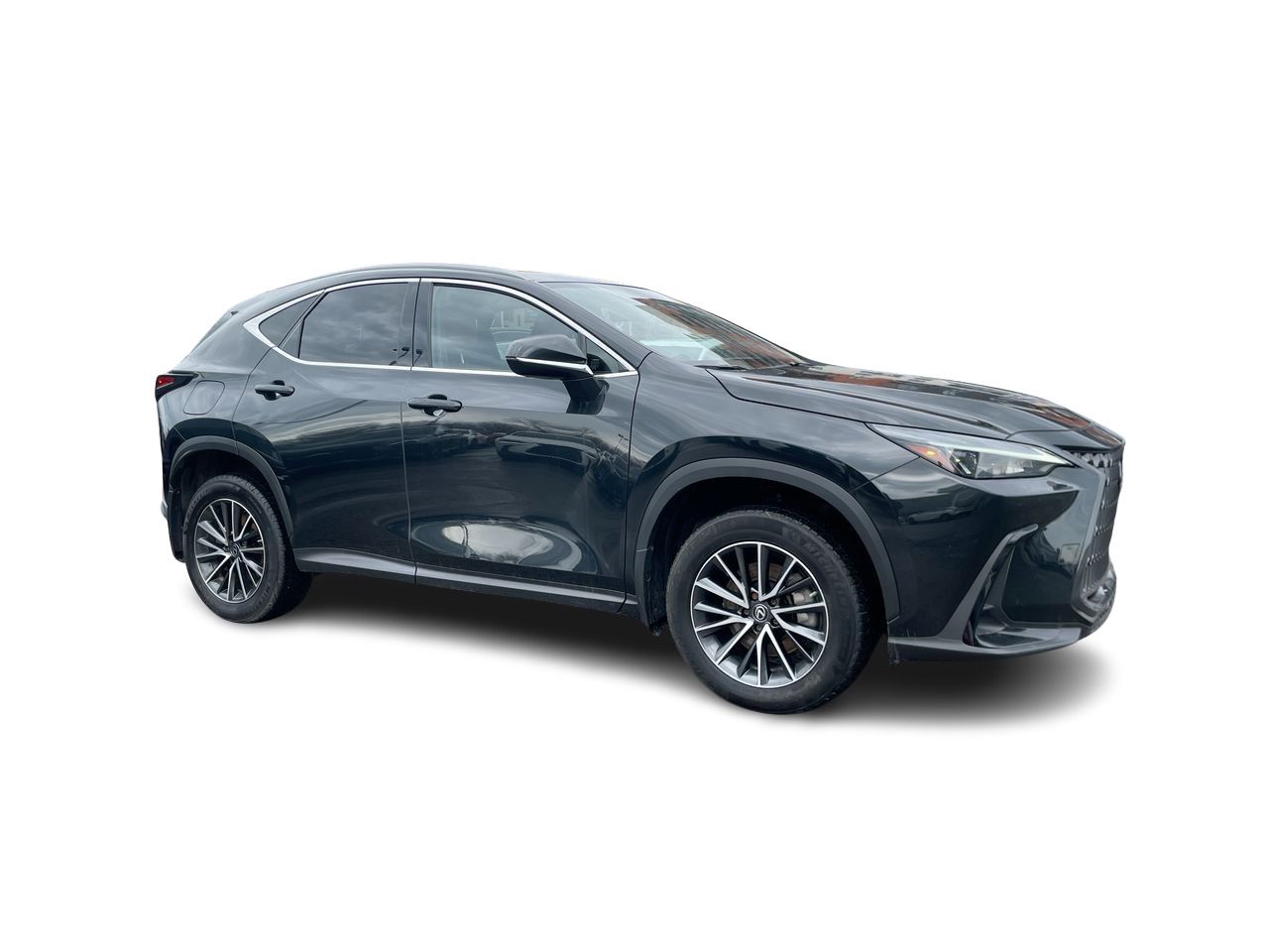 Lexus NX  2023