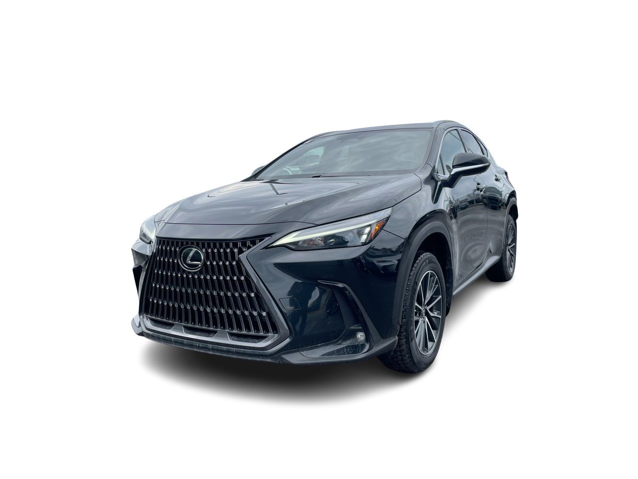 Lexus NX  2023