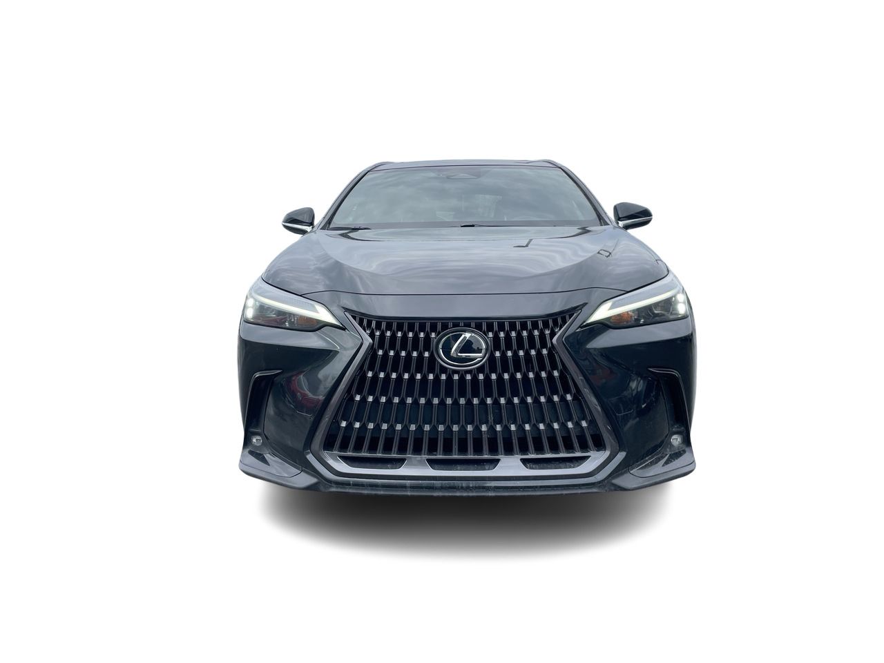 Lexus NX  2023