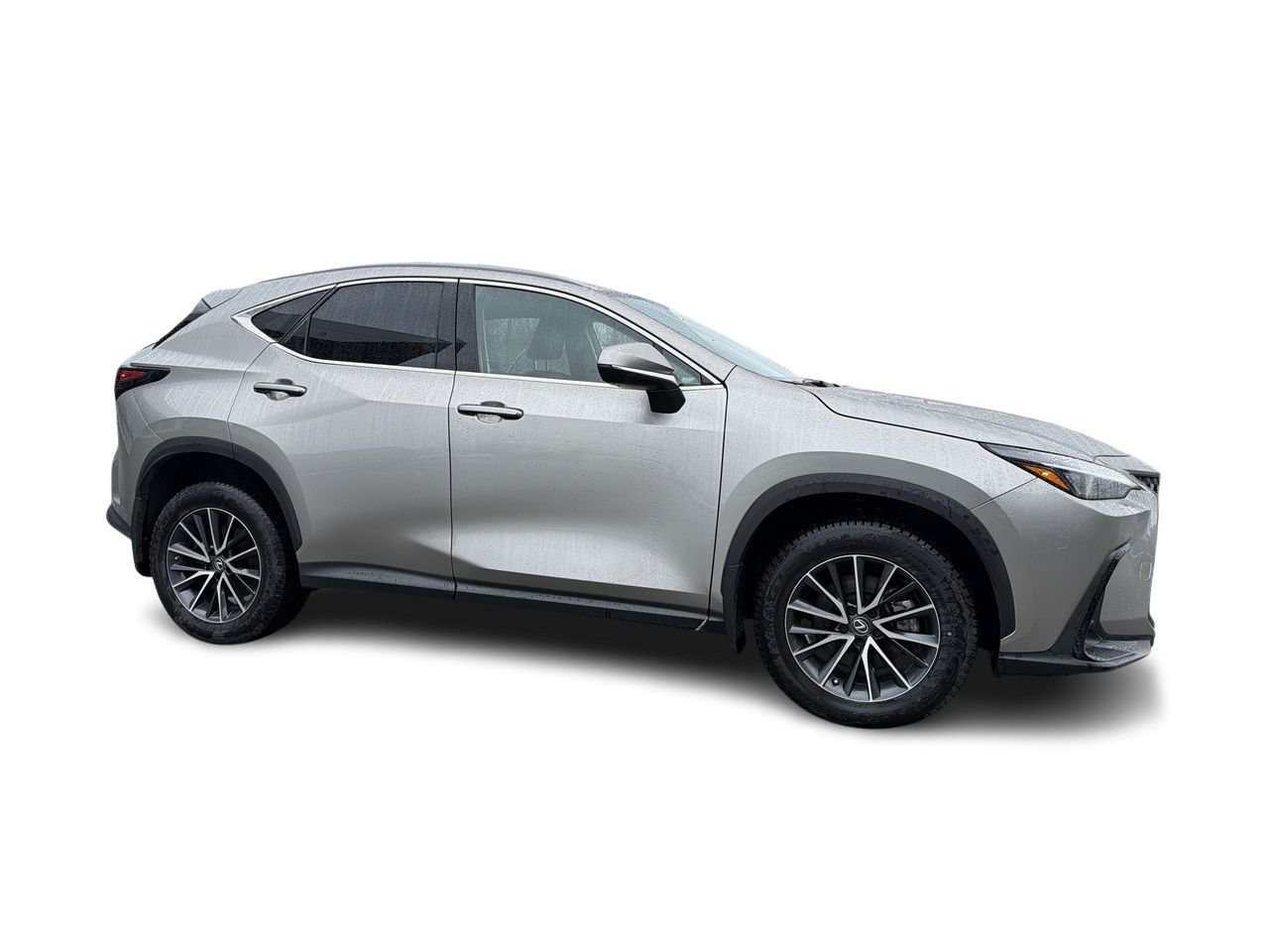 2023 Lexus NX